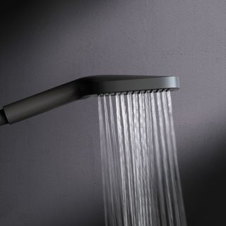 Душевая лейка Am.Pm Func F028F022 чёрный матовый